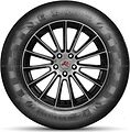 Doublestar DS01 225/70 R16 103T 
